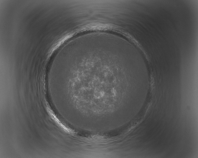X0000085830581200703161326