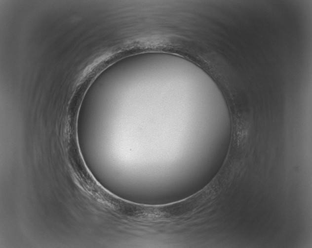 X0000085830583200703161326