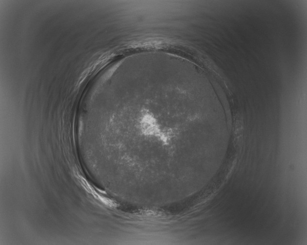 X0000085830585200703161326
