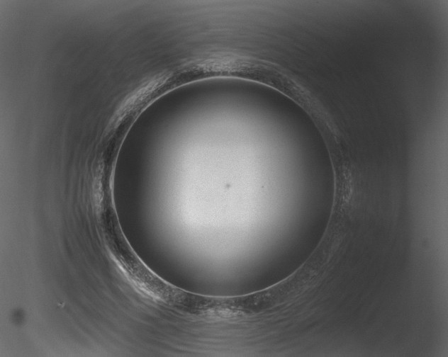 X0000085830586200703161326