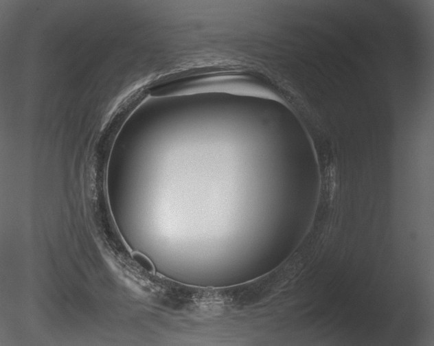X0000085830587200703161326