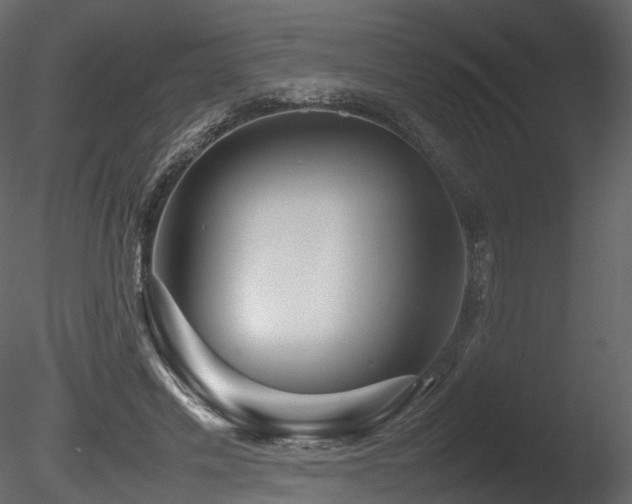 X0000085830589200703161326
