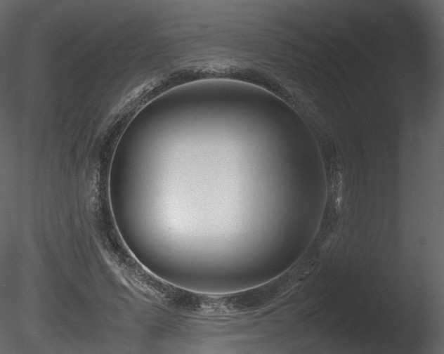 X0000085830591200703161326