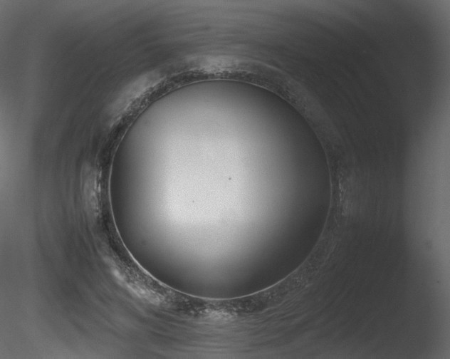 X0000085830592200703161326