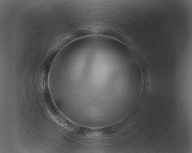 X0000085830594200703161326
