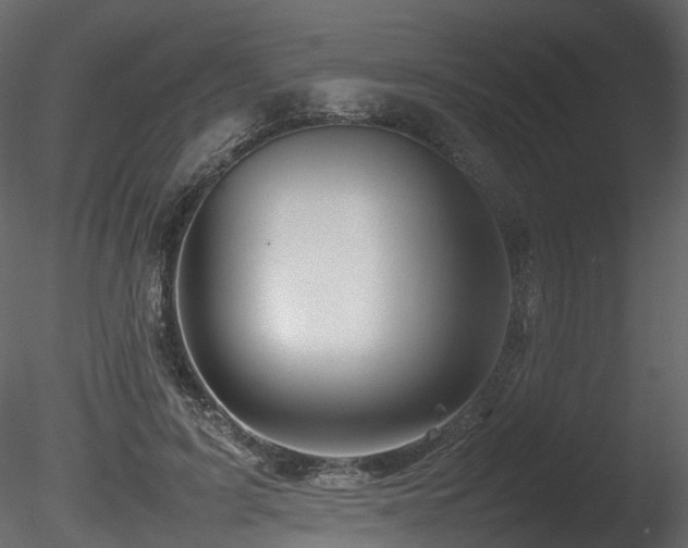X0000085830595200703161326