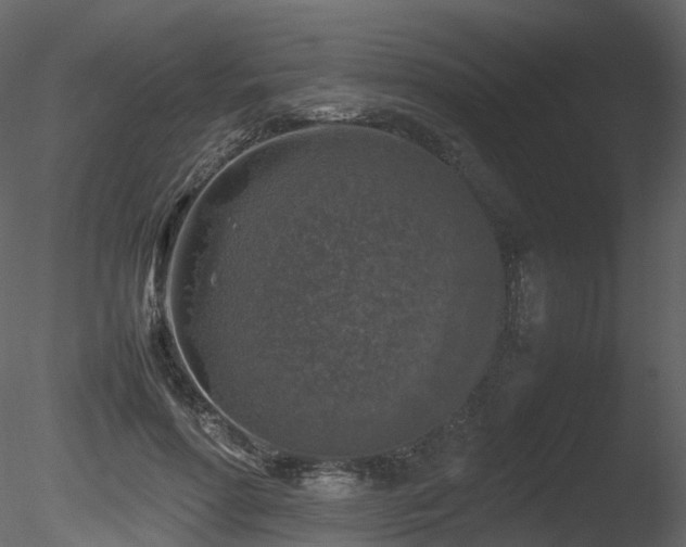 X0000085830598200703161326