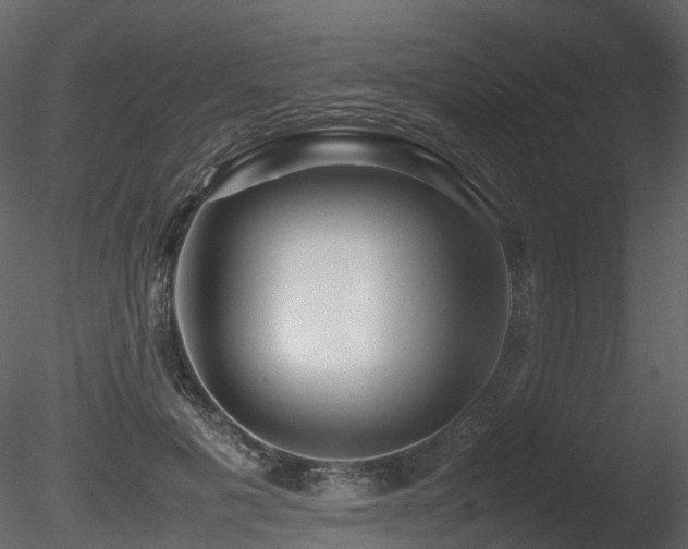 X0000085830601200703161326