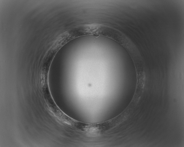 X0000085830602200703161326