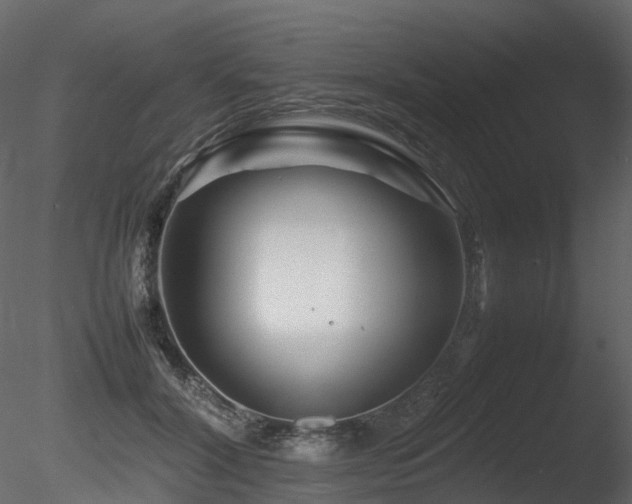X0000085830604200703161326