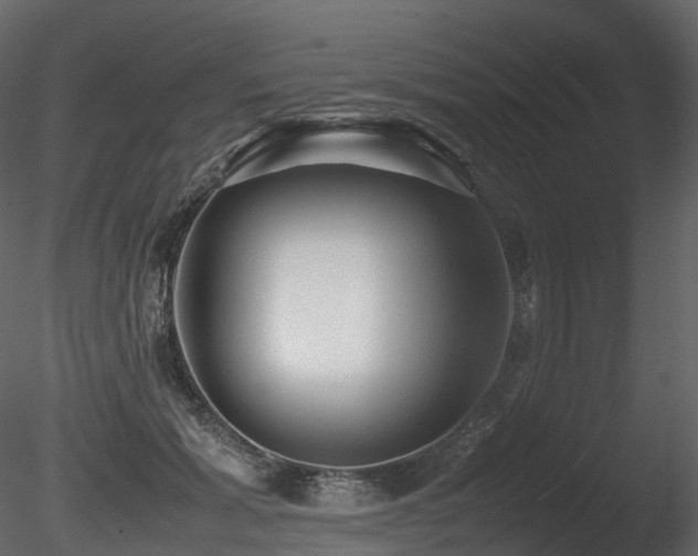 X0000085830605200703161326