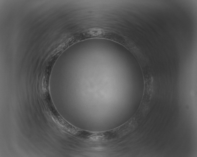 X0000085830606200703161326