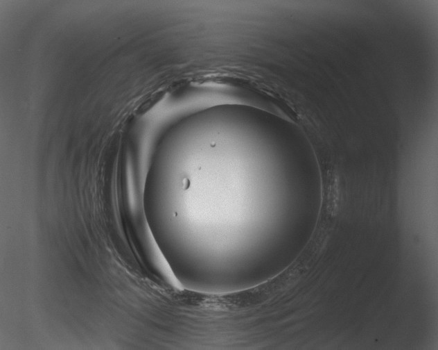 X0000085830608200703161326