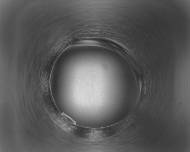 X0000085830609200703161326