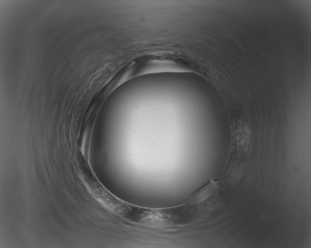 X0000085830611200703161326