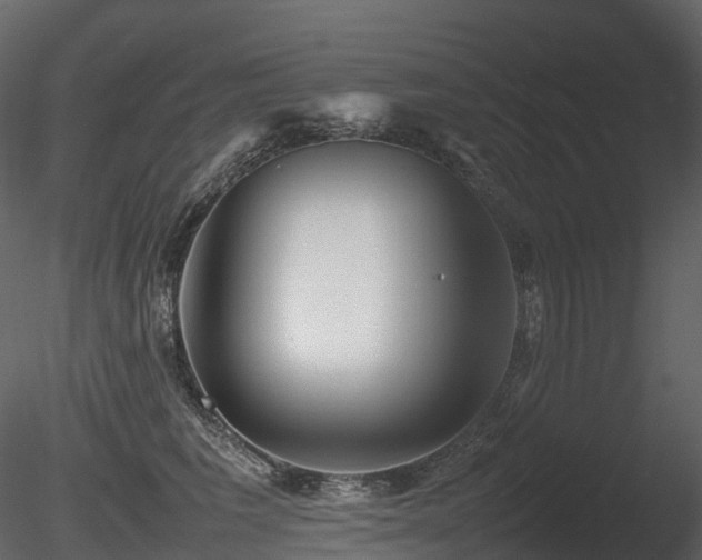 X0000085830613200703161326