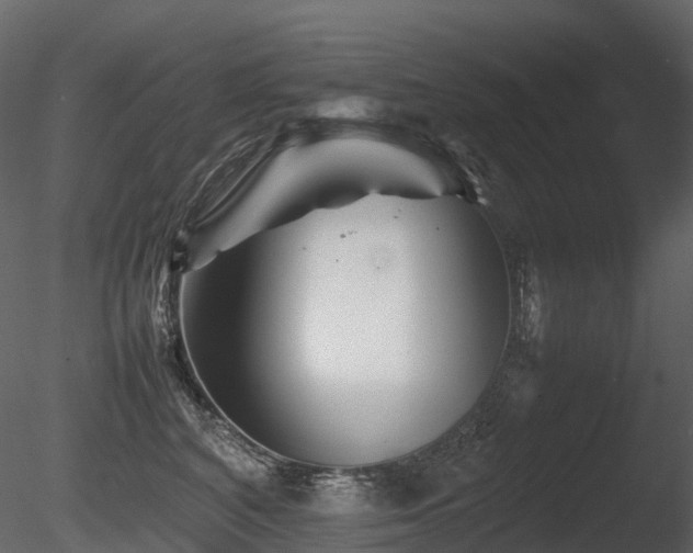 X0000085830616200703161325