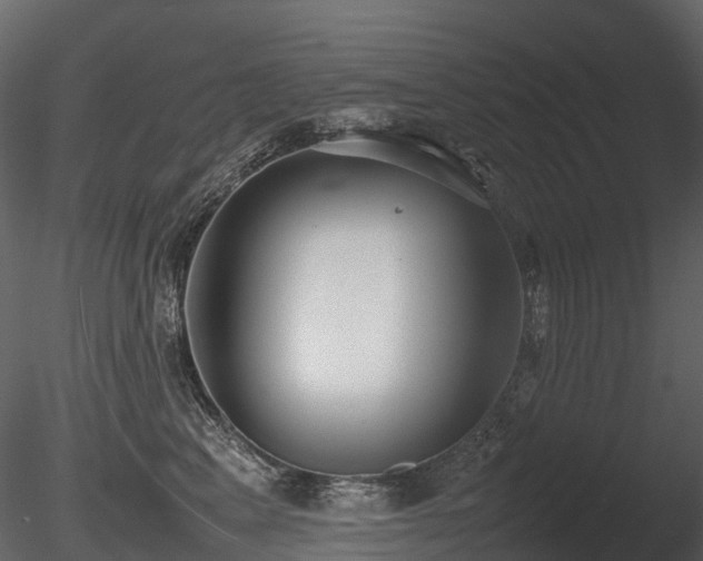 X0000085830617200703161325
