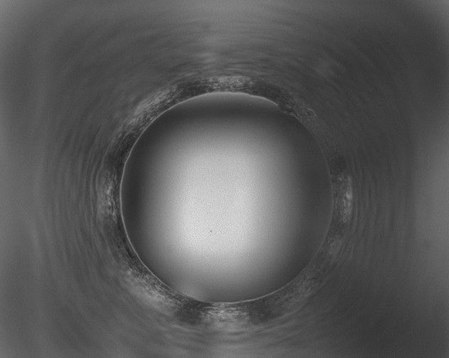 X0000085830619200703161325