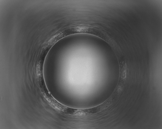 X0000085830620200703161325