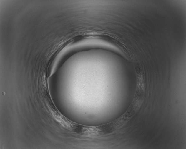 X0000085830621200703161325