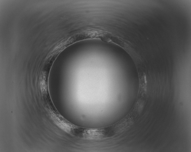 X0000085830622200703161325