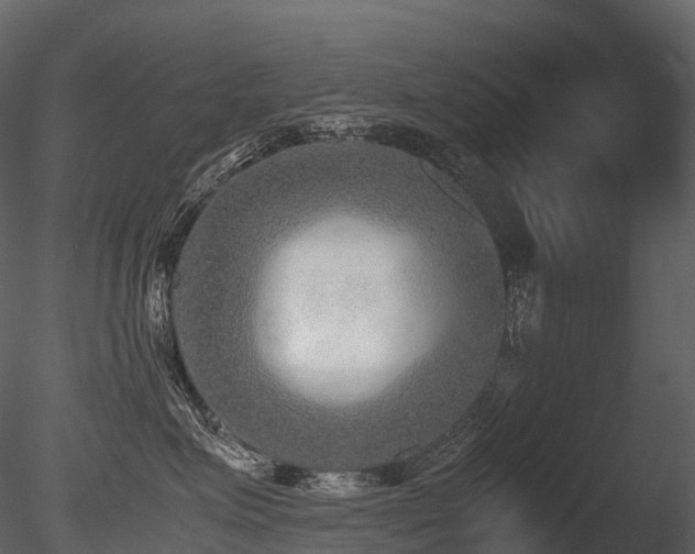 X0000085830623200703161325