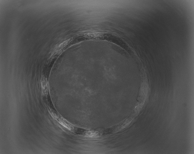 X0000085830624200703161325