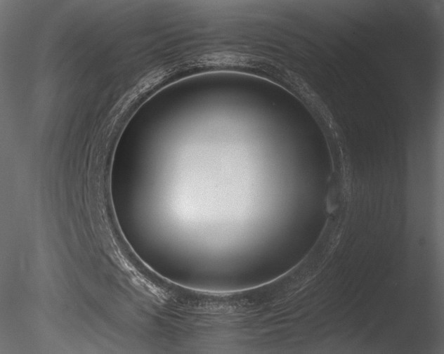 X0000085830625200703161325