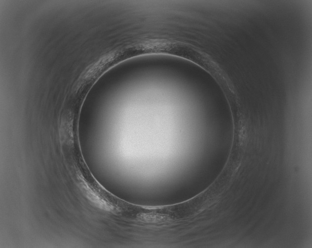 X0000085830633200703161325