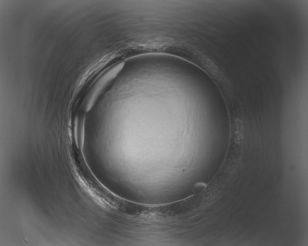 X0000085830634200703161325