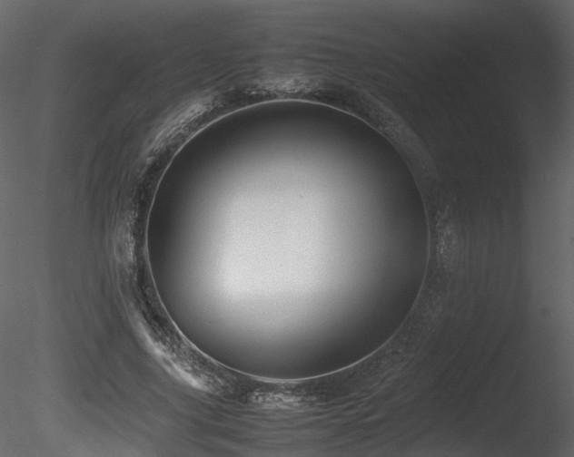 X0000085830635200703161325