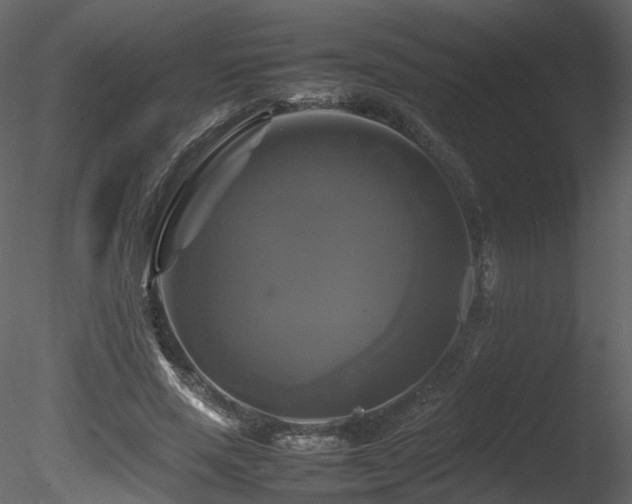 X0000085830637200703161325