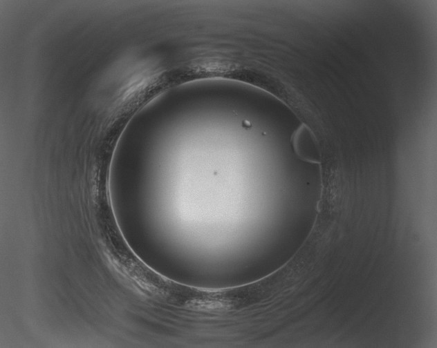X0000085830639200703161325
