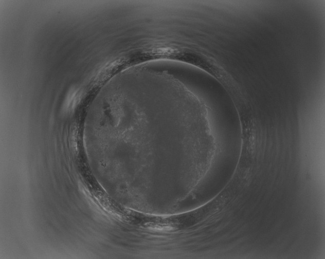 X0000085830643200703161325