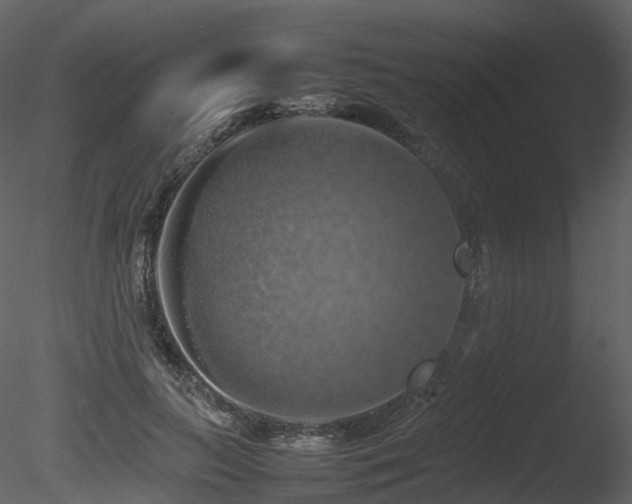 X0000085830647200703161325