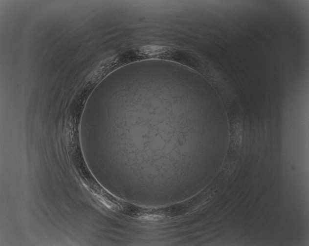 X0000085830653200703161325