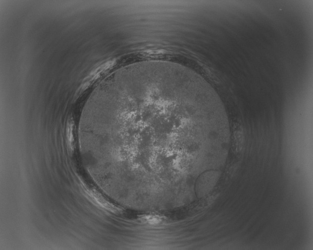 X0000085830654200703161325