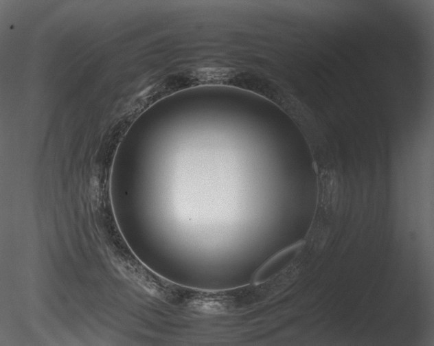 X0000085830655200703161325