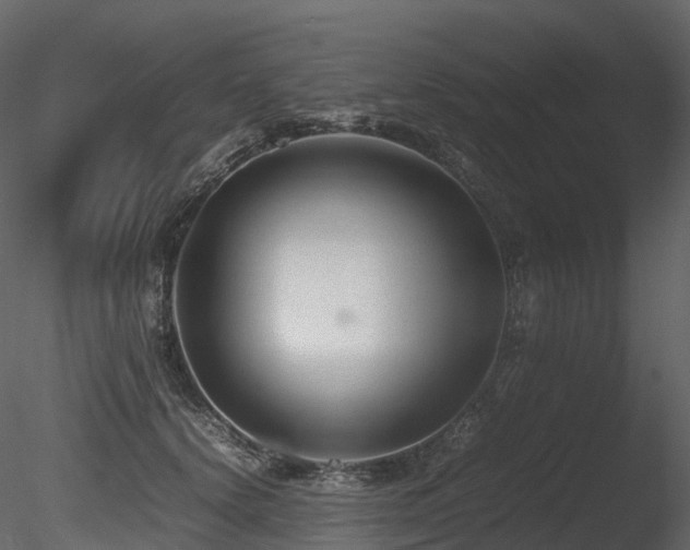 X0000085830656200703161325