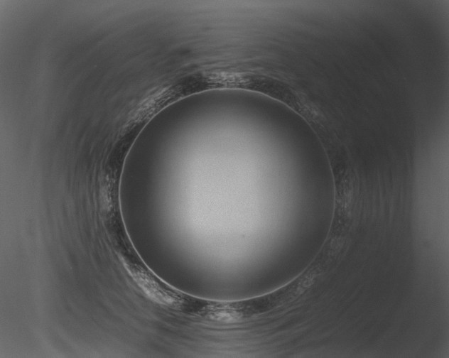 X0000085830658200703161325