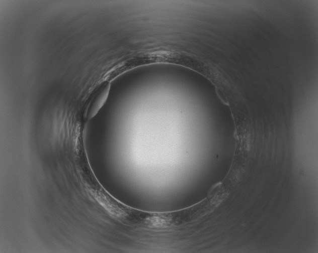 X0000085830660200703161325