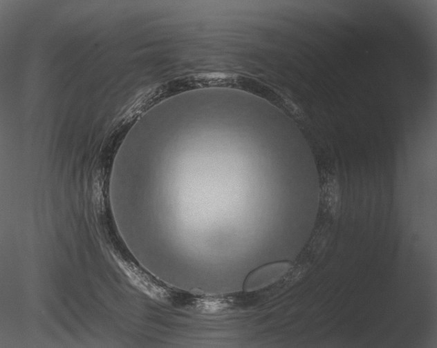 X0000085830662200703161325