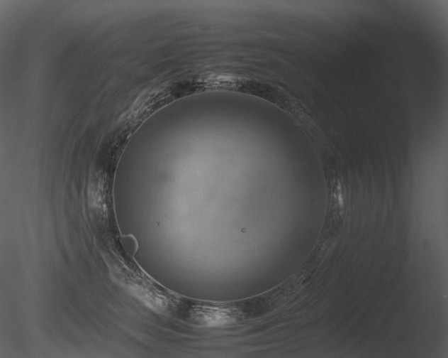 X0000085830663200703161325