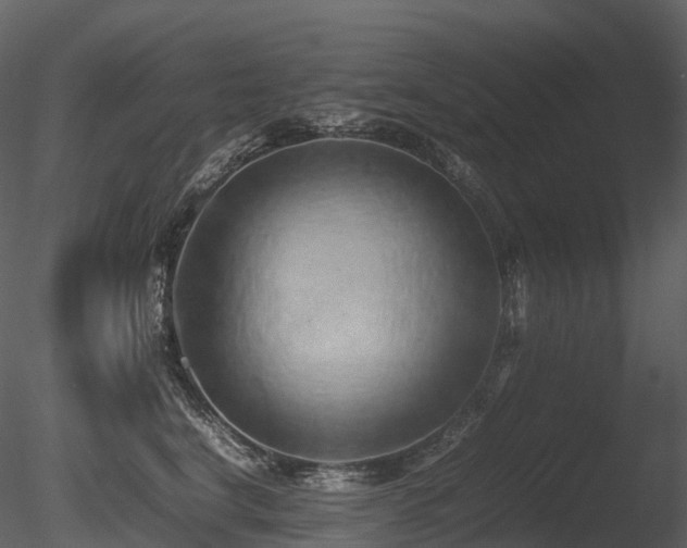 X0000085830664200703161325