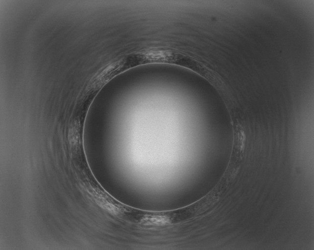 X0000085830665200703161325