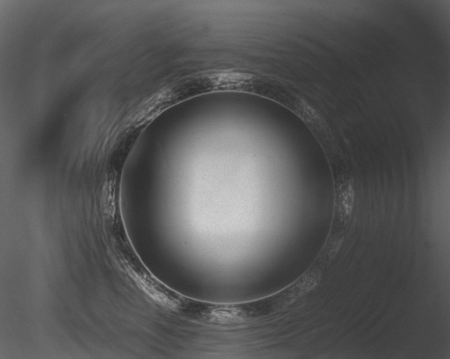 X0000085830666200703161325