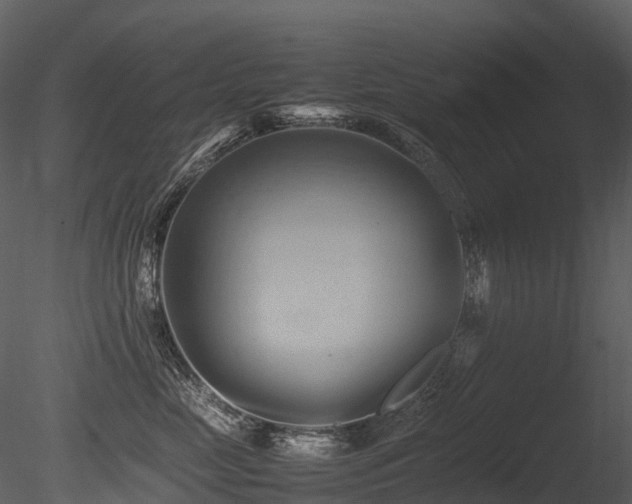X0000085830669200703161325