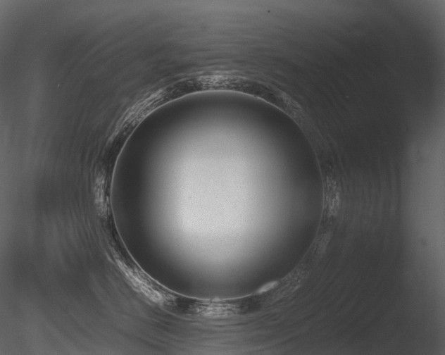 X0000085830670200703161325