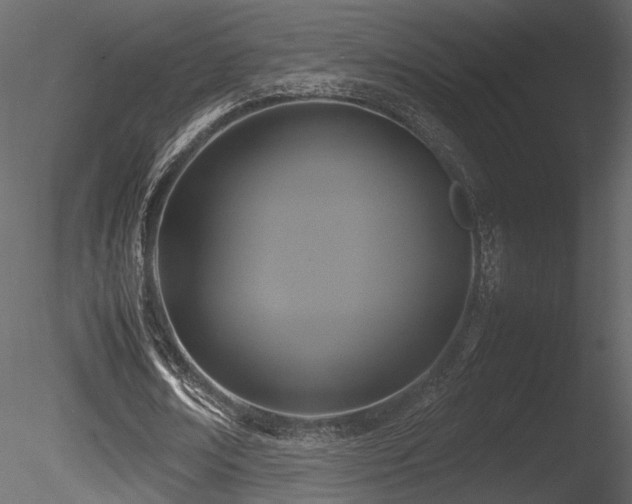 X0000085830674200703161324